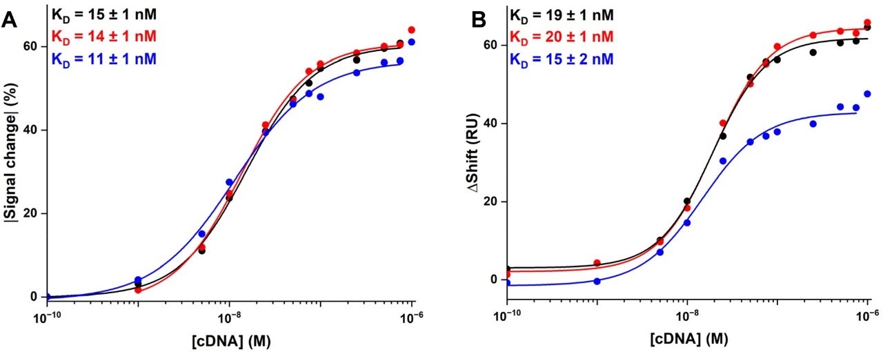 DNA hybridization dose-response curves comparing SPR and electrochemical detection