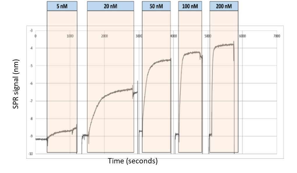 SPR signal in nm plotted against time in seconds, showing five sequential injection cycles for lacI at 5, 20, 50, 100, and 200 nM. Each cycle shows a binding association phase followed by a wash/dissociation phase. Signal magnitude increases with concentration.