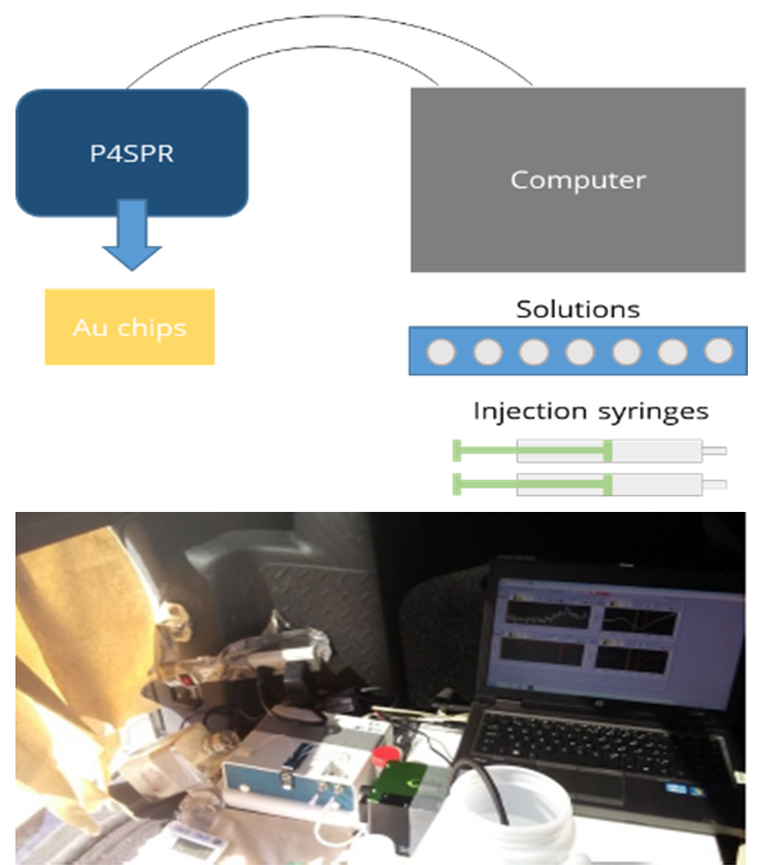 (Top) Schematic of P4SPR field setup showing peristaltic pump drawing well water into a collection bucket, then into the P4SPR connected by USB to a laptop powered by a generator. (Bottom) Photograph of the actual field setup in the bed of a pickup truck.
