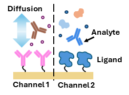 Kinetic SPR: two-channel setup showing diffusion in channel 1 and analyte-ligand binding in channel 2
