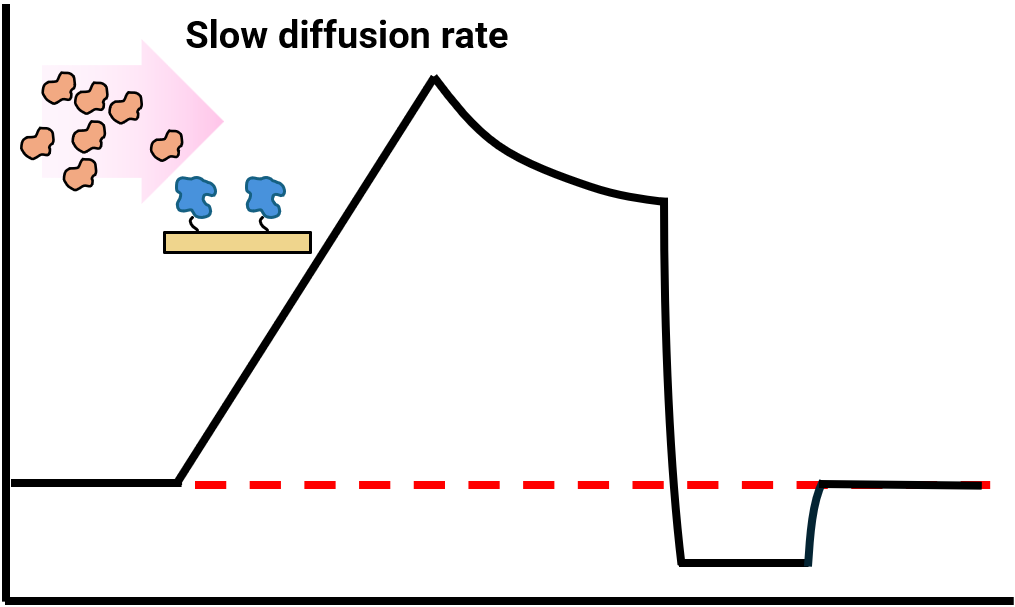Mass transport limitation
